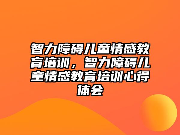 智力障礙兒童情感教育培訓(xùn)，智力障礙兒童情感教育培訓(xùn)心得體會