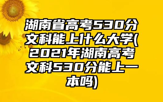 湖南省高考530分文科能上什么大學(xué)(2021年湖南高考文科530分能上一本嗎)