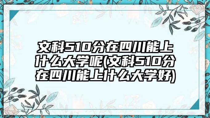 文科510分在四川能上什么大學(xué)呢(文科510分在四川能上什么大學(xué)好)