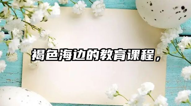 褐色海邊的教育課程，