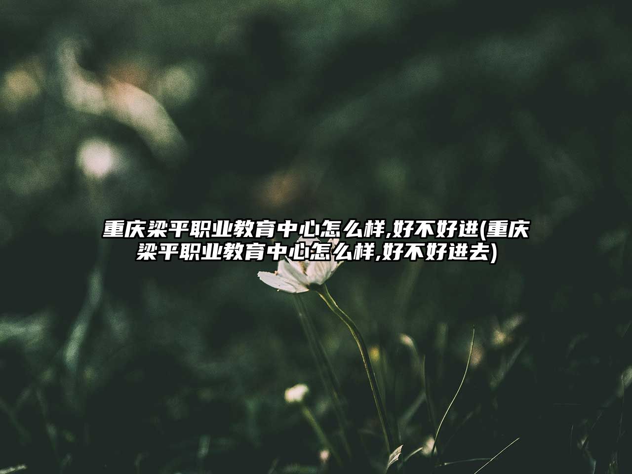 重慶梁平職業(yè)教育中心怎么樣,好不好進(jìn)(重慶梁平職業(yè)教育中心怎么樣,好不好進(jìn)去)