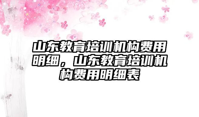 山東教育培訓(xùn)機(jī)構(gòu)費用明細(xì)，山東教育培訓(xùn)機(jī)構(gòu)費用明細(xì)表