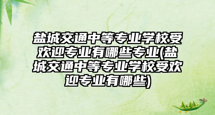 鹽城交通中等專業(yè)學(xué)校受歡迎專業(yè)有哪些專業(yè)(鹽城交通中等專業(yè)學(xué)校受歡迎專業(yè)有哪些)