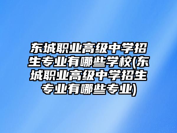 東城職業(yè)高級中學(xué)招生專業(yè)有哪些學(xué)校(東城職業(yè)高級中學(xué)招生專業(yè)有哪些專業(yè))