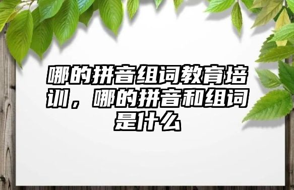 哪的拼音組詞教育培訓，哪的拼音和組詞是什么