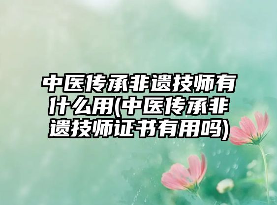 中醫(yī)傳承非遺技師有什么用(中醫(yī)傳承非遺技師證書有用嗎)