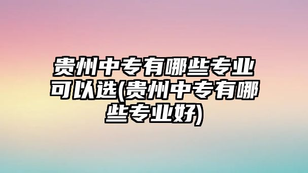 貴州中專有哪些專業(yè)可以選(貴州中專有哪些專業(yè)好)