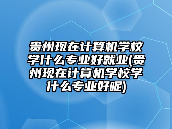 貴州現(xiàn)在計(jì)算機(jī)學(xué)校學(xué)什么專業(yè)好就業(yè)(貴州現(xiàn)在計(jì)算機(jī)學(xué)校學(xué)什么專業(yè)好呢)