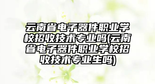 云南省電子器件職業(yè)學校招收技術專業(yè)嗎(云南省電子器件職業(yè)學校招收技術專業(yè)生嗎)