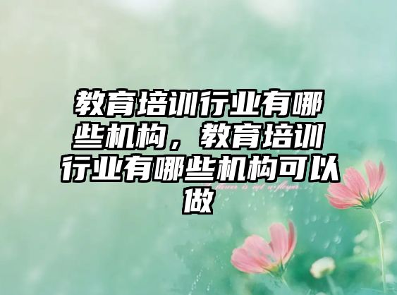 教育培訓(xùn)行業(yè)有哪些機構(gòu)，教育培訓(xùn)行業(yè)有哪些機構(gòu)可以做