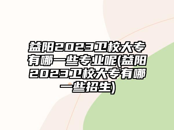 益陽2023衛(wèi)校大專有哪一些專業(yè)呢(益陽2023衛(wèi)校大專有哪一些招生)