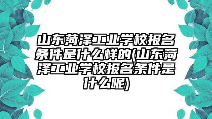 山東菏澤工業(yè)學(xué)校報名條件是什么樣的(山東菏澤工業(yè)學(xué)校報名條件是什么呢)