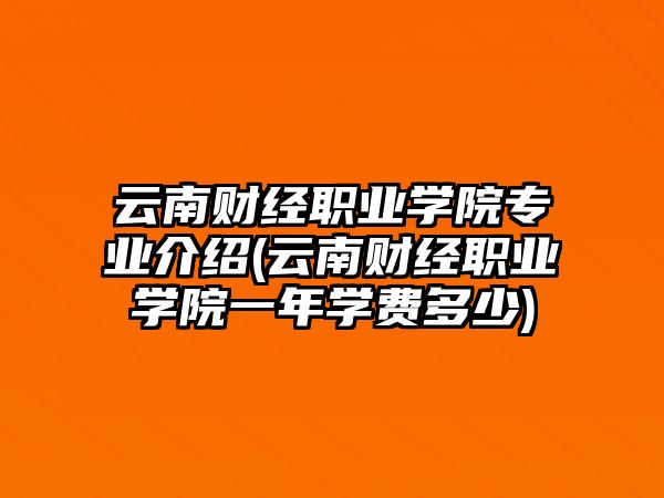 云南財經(jīng)職業(yè)學(xué)院專業(yè)介紹(云南財經(jīng)職業(yè)學(xué)院一年學(xué)費多少)