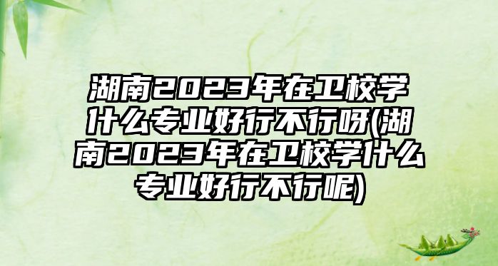 湖南2023年在衛(wèi)校學什么專業(yè)好行不行呀(湖南2023年在衛(wèi)校學什么專業(yè)好行不行呢)