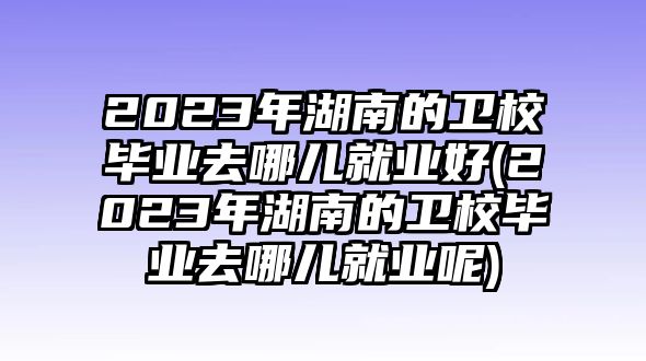 2023年湖南的衛(wèi)校畢業(yè)去哪兒就業(yè)好(2023年湖南的衛(wèi)校畢業(yè)去哪兒就業(yè)呢)