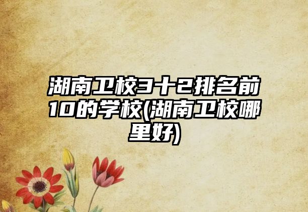 湖南衛(wèi)校3十2排名前10的學(xué)校(湖南衛(wèi)校哪里好)