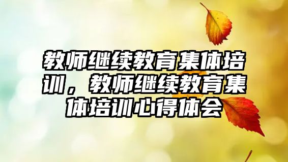 教師繼續(xù)教育集體培訓(xùn)，教師繼續(xù)教育集體培訓(xùn)心得體會(huì)