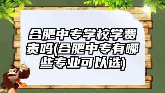 合肥中專學校學費貴嗎(合肥中專有哪些專業(yè)可以選)