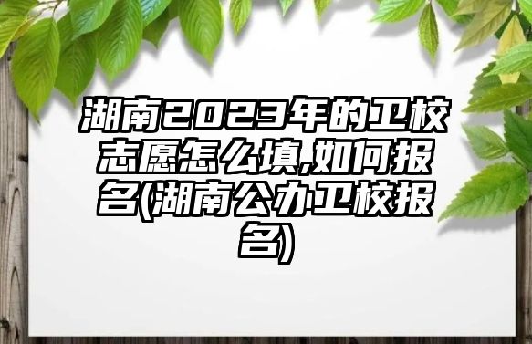 湖南2023年的衛(wèi)校志愿怎么填,如何報(bào)名(湖南公辦衛(wèi)校報(bào)名)