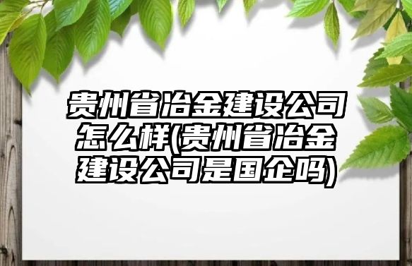 貴州省冶金建設公司怎么樣(貴州省冶金建設公司是國企嗎)