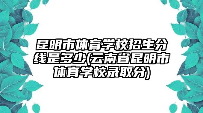 昆明市體育學(xué)校招生分線是多少(云南省昆明市體育學(xué)校錄取分)