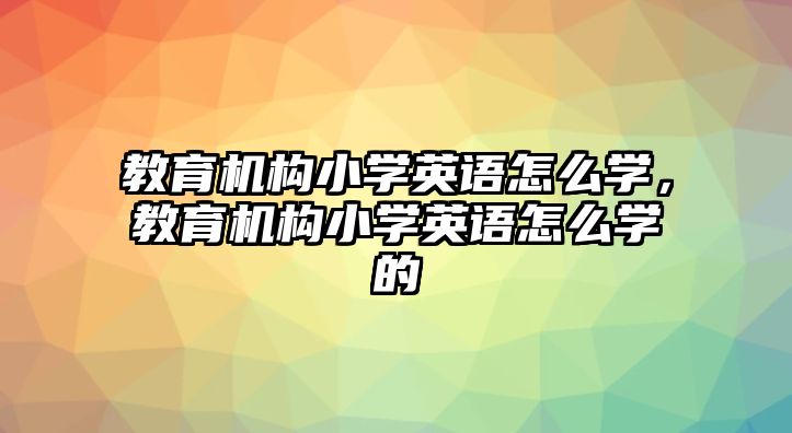 教育機構(gòu)小學(xué)英語怎么學(xué)，教育機構(gòu)小學(xué)英語怎么學(xué)的