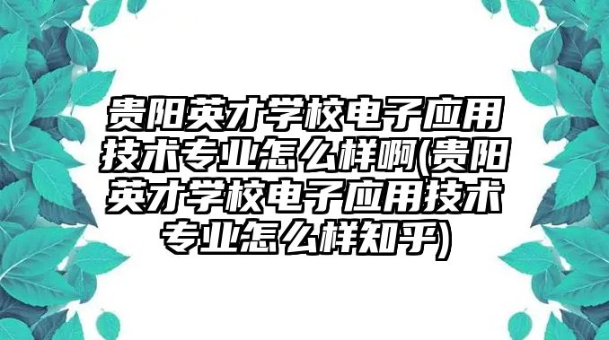 貴陽英才學(xué)校電子應(yīng)用技術(shù)專業(yè)怎么樣啊(貴陽英才學(xué)校電子應(yīng)用技術(shù)專業(yè)怎么樣知乎)