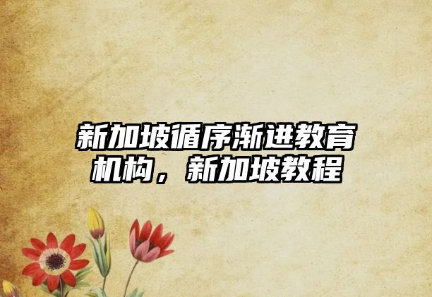 新加坡循序漸進(jìn)教育機(jī)構(gòu)，新加坡教程