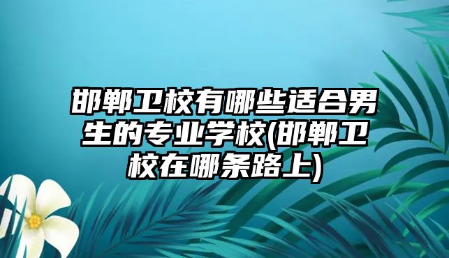 邯鄲衛(wèi)校有哪些適合男生的專業(yè)學(xué)校(邯鄲衛(wèi)校在哪條路上)