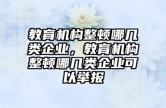 教育機構(gòu)整頓哪幾類企業(yè)，教育機構(gòu)整頓哪幾類企業(yè)可以舉報