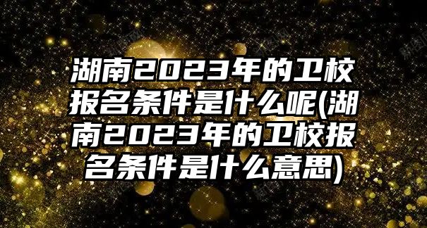 湖南2023年的衛(wèi)校報名條件是什么呢(湖南2023年的衛(wèi)校報名條件是什么意思)