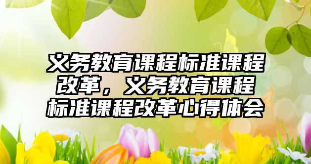 義務教育課程標準課程改革，義務教育課程標準課程改革心得體會