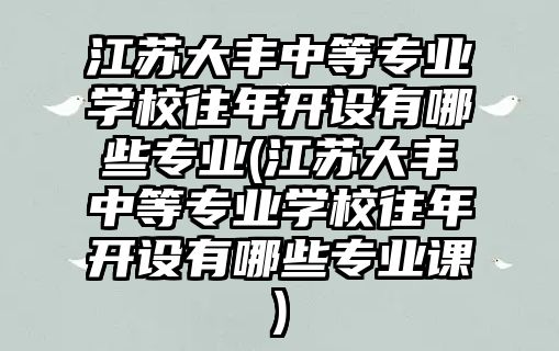 江蘇大豐中等專業(yè)學(xué)校往年開設(shè)有哪些專業(yè)(江蘇大豐中等專業(yè)學(xué)校往年開設(shè)有哪些專業(yè)課)