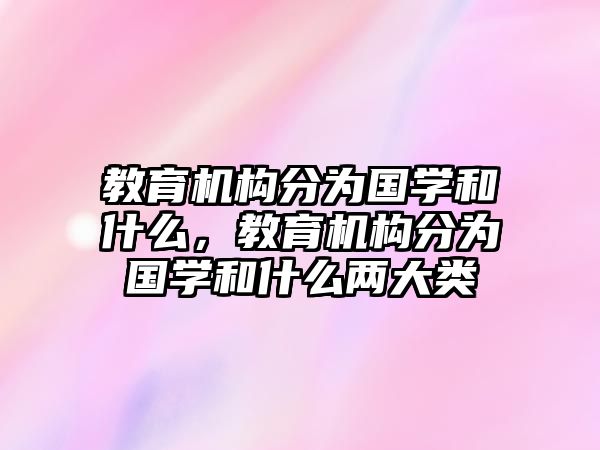 教育機構(gòu)分為國學(xué)和什么，教育機構(gòu)分為國學(xué)和什么兩大類