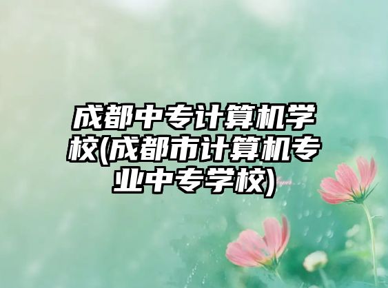 成都中專計(jì)算機(jī)學(xué)校(成都市計(jì)算機(jī)專業(yè)中專學(xué)校)