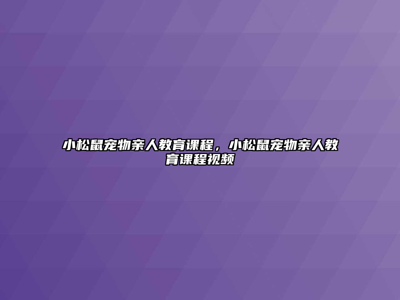 小松鼠寵物親人教育課程，小松鼠寵物親人教育課程視頻