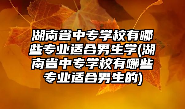 湖南省中專學(xué)校有哪些專業(yè)適合男生學(xué)(湖南省中專學(xué)校有哪些專業(yè)適合男生的)