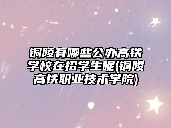 銅陵有哪些公辦高鐵學(xué)校在招學(xué)生呢(銅陵高鐵職業(yè)技術(shù)學(xué)院)