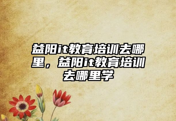 益陽it教育培訓(xùn)去哪里，益陽it教育培訓(xùn)去哪里學(xué)