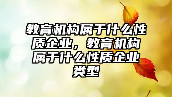 教育機構(gòu)屬于什么性質(zhì)企業(yè)，教育機構(gòu)屬于什么性質(zhì)企業(yè)類型