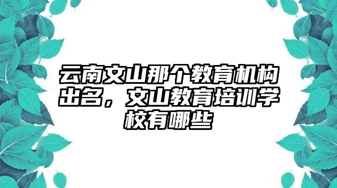 云南文山那個(gè)教育機(jī)構(gòu)出名，文山教育培訓(xùn)學(xué)校有哪些