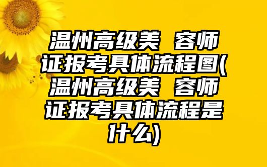 溫州高級美 容師證報考具體流程圖(溫州高級美 容師證報考具體流程是什么)