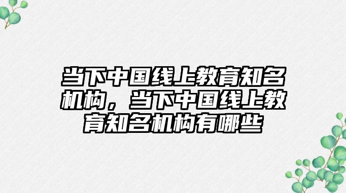 當(dāng)下中國線上教育知名機(jī)構(gòu)，當(dāng)下中國線上教育知名機(jī)構(gòu)有哪些