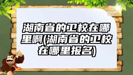 湖南省的衛(wèi)校在哪里啊(湖南省的衛(wèi)校在哪里報(bào)名)