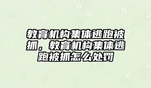 教育機構集體逃跑被抓，教育機構集體逃跑被抓怎么處罰