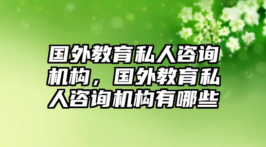 國外教育私人咨詢機構(gòu)，國外教育私人咨詢機構(gòu)有哪些