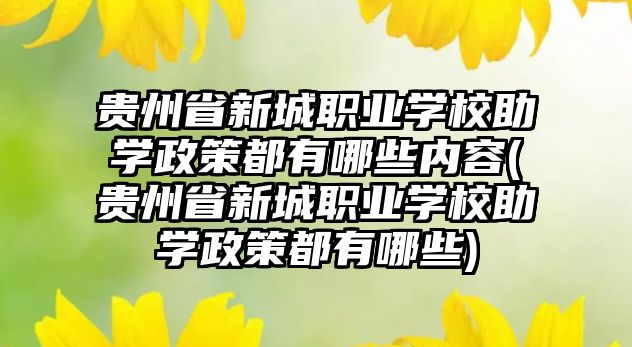 貴州省新城職業(yè)學(xué)校助學(xué)政策都有哪些內(nèi)容(貴州省新城職業(yè)學(xué)校助學(xué)政策都有哪些)