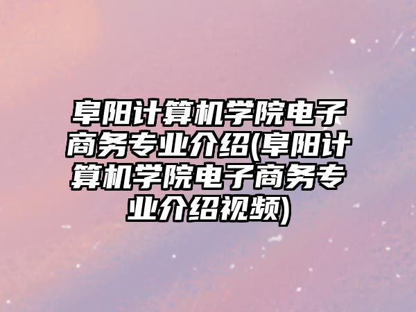 阜陽計算機學院電子商務(wù)專業(yè)介紹(阜陽計算機學院電子商務(wù)專業(yè)介紹視頻)