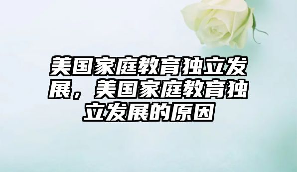 美國(guó)家庭教育獨(dú)立發(fā)展，美國(guó)家庭教育獨(dú)立發(fā)展的原因