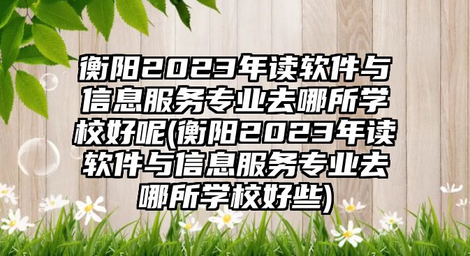 衡陽2023年讀軟件與信息服務(wù)專業(yè)去哪所學(xué)校好呢(衡陽2023年讀軟件與信息服務(wù)專業(yè)去哪所學(xué)校好些)